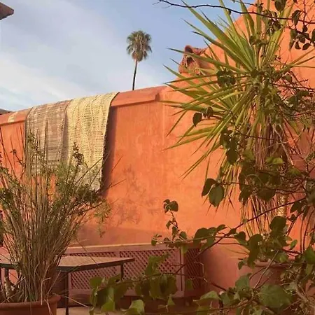 Riad Alghani مراكش المظهر الخارجي الصورة